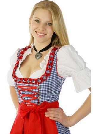 Women's Oktoberfest Bavarian Beer Maid Vintage Blue Checked Dress – view 3