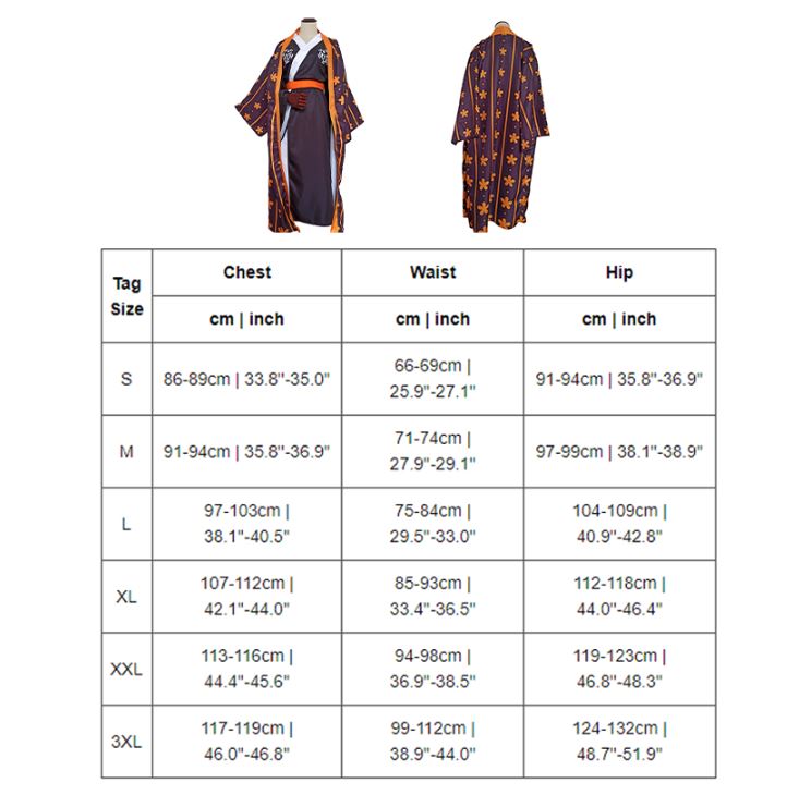 Anime Swordsman Kimono Costume