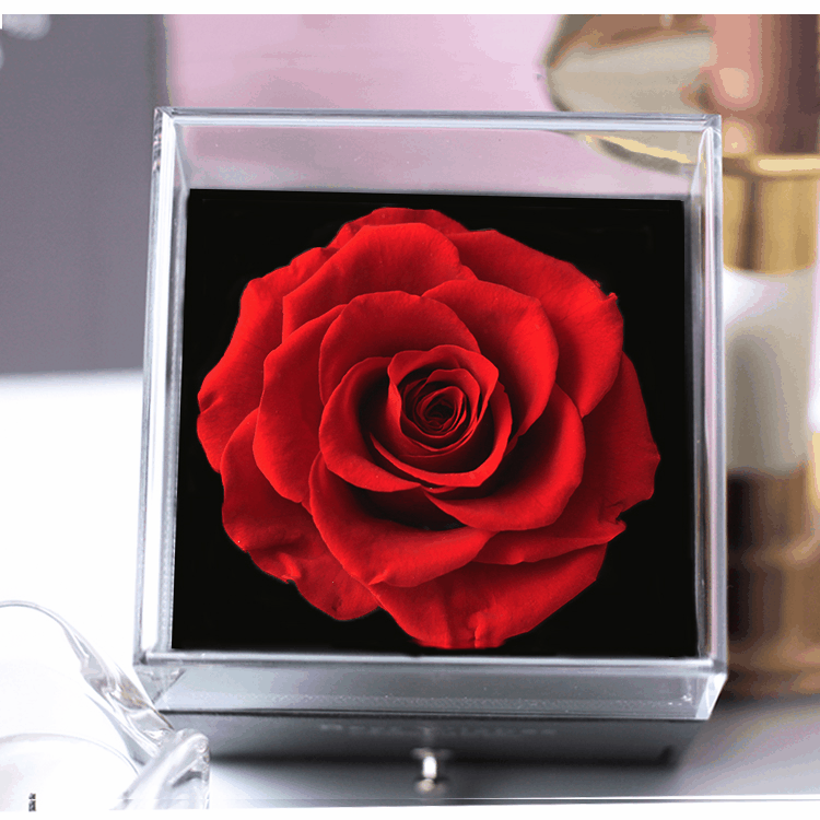 Classic Red Preserved Eternal Real Rose Flower Jewellery Box