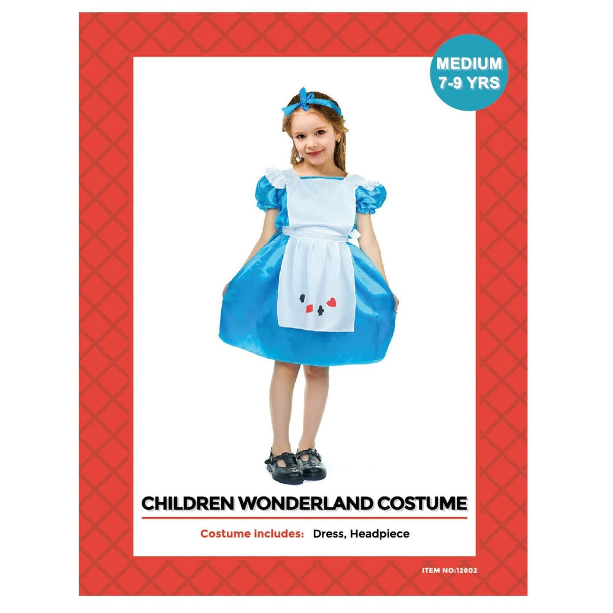 Kids Alice in Wonderland Costume
