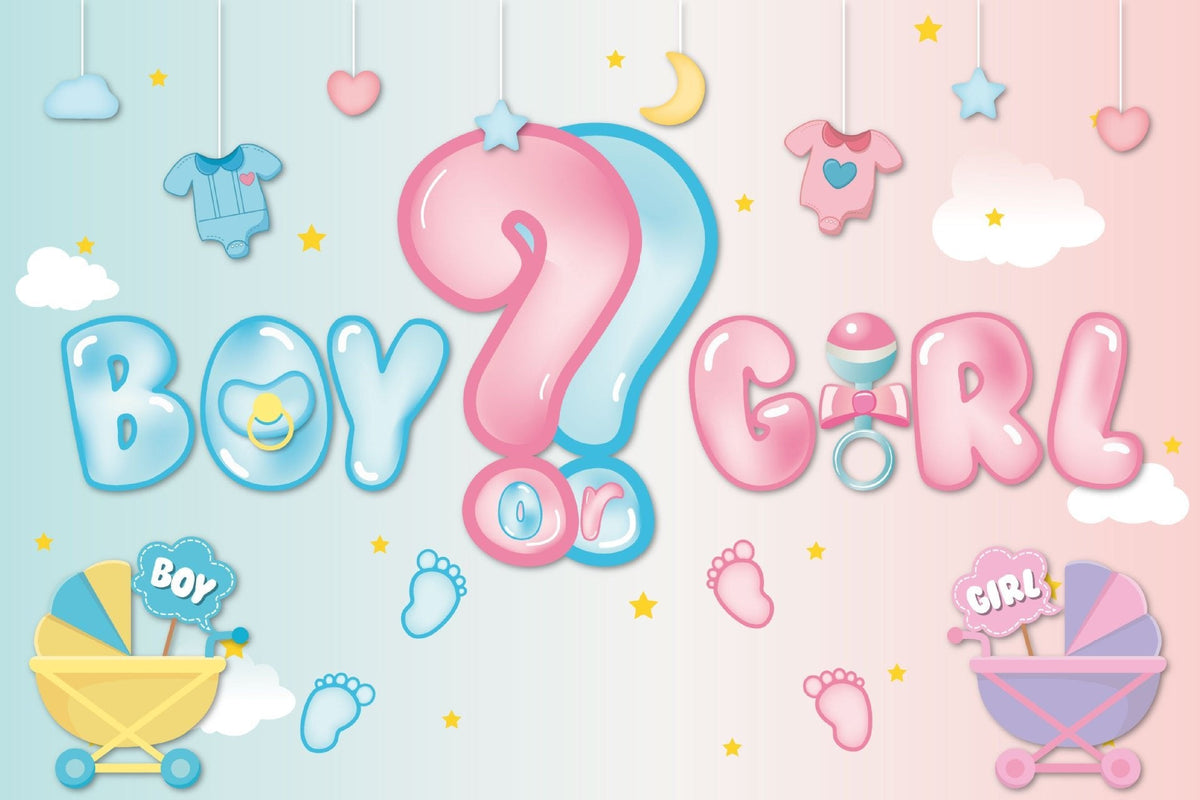 Gender Reveal Boy or Girl Birthday Party Decorations Set – view 3