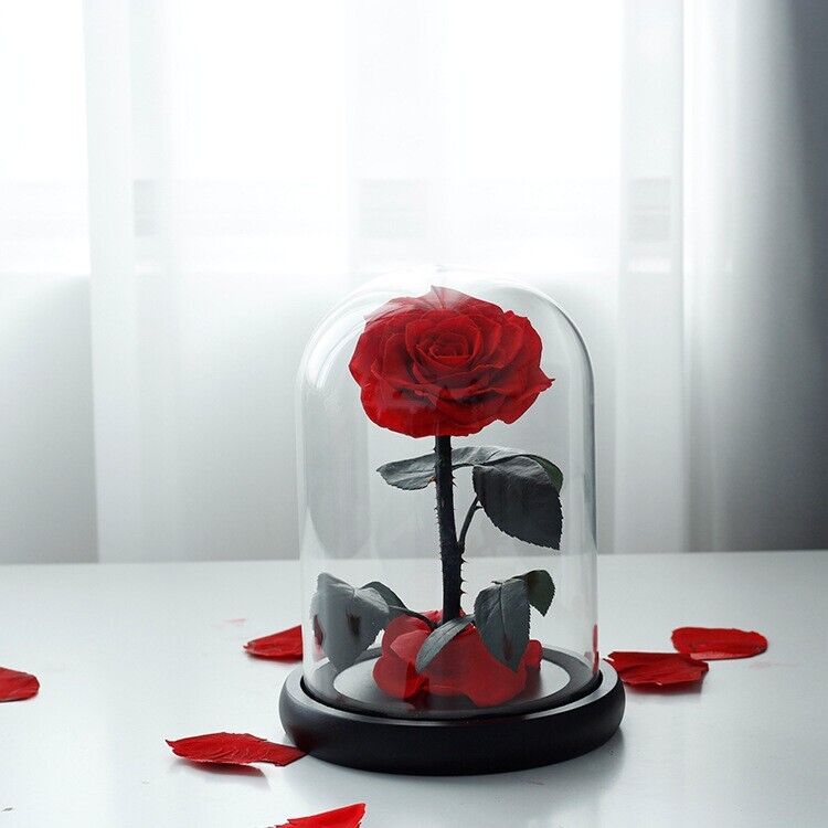 Eternal Preserved Red Rose in Glass Dome
