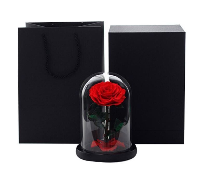 Eternal Preserved Red Rose in Glass Dome – view 3