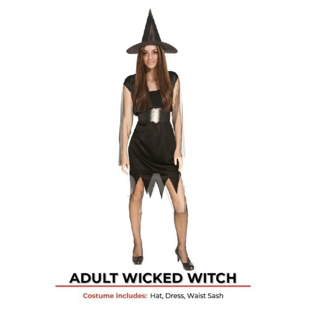 Adult Wicked Witch Costume